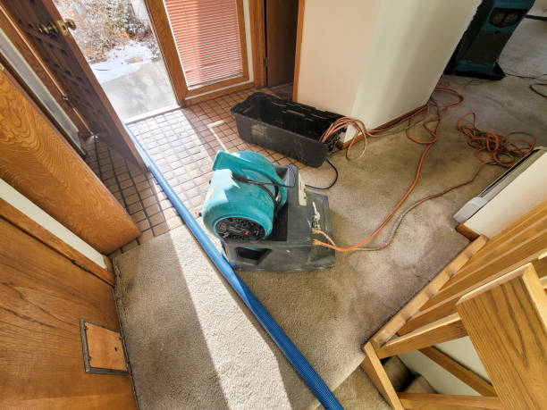 Best Ceiling water damage repair  in Sedgwick, KS