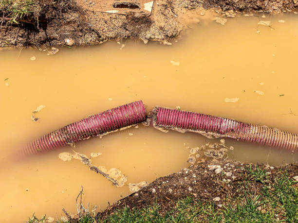 Best Water damage restoration near me  in Sedgwick, KS